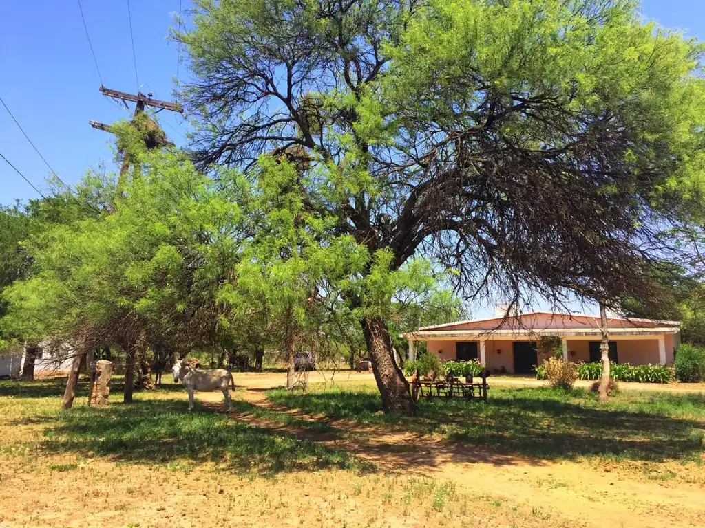 Vendo Campo 90Ha c/ 2 casas y 2 galpones en MANDALA, Villa de Soto, Cruz del Eje,  Córdoba.