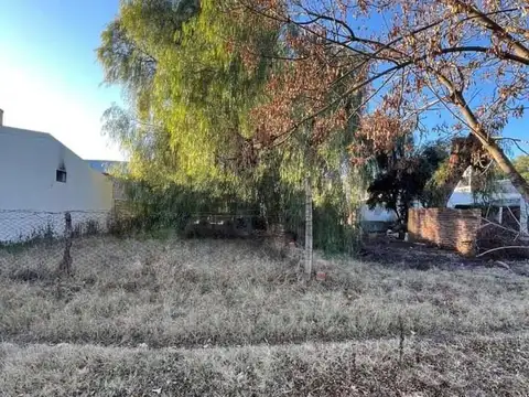 LOTE EN VENTA EN GENERAL ALVEAR