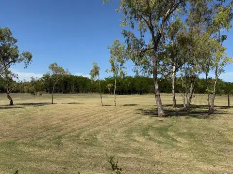 VENTA LOTE 4572 M2. - FORESTADO - EXCELENTE UBICACIÓN