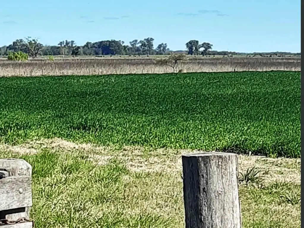 Campo venta Loma Verde