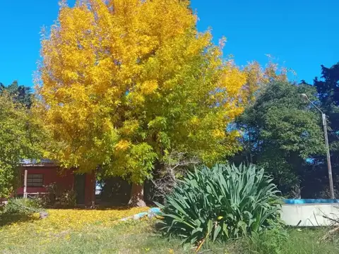 Venta de Quinta en Los Talas, Berisso