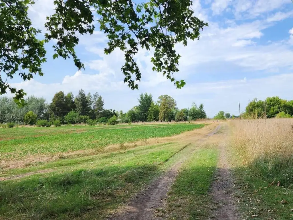 Campo sobre ruta 41, con chalet de dos dormitorios