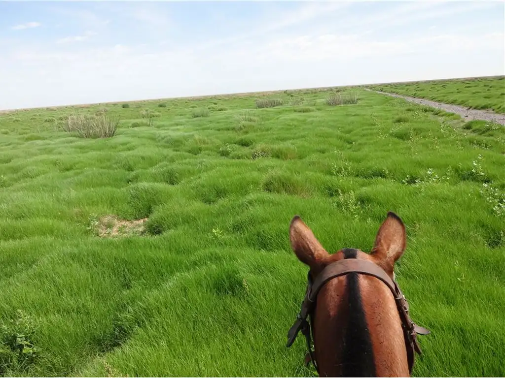 Campo Ganadero EN VENTA FINANCIADO EN INTIYACO