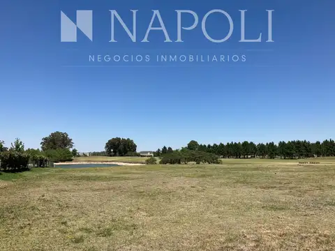 Terreno en Venta