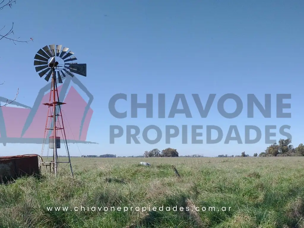 24 ha campo en venta - Navarro. L30011