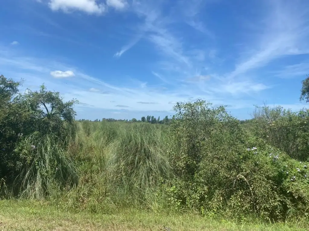 Venta de terreno. Monte Vera