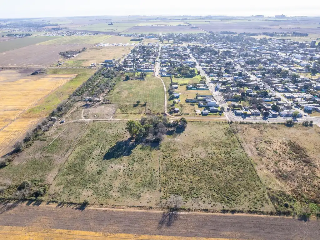 EN VENTA - CAMPO PARA DESARROLLO - TIMBUES.