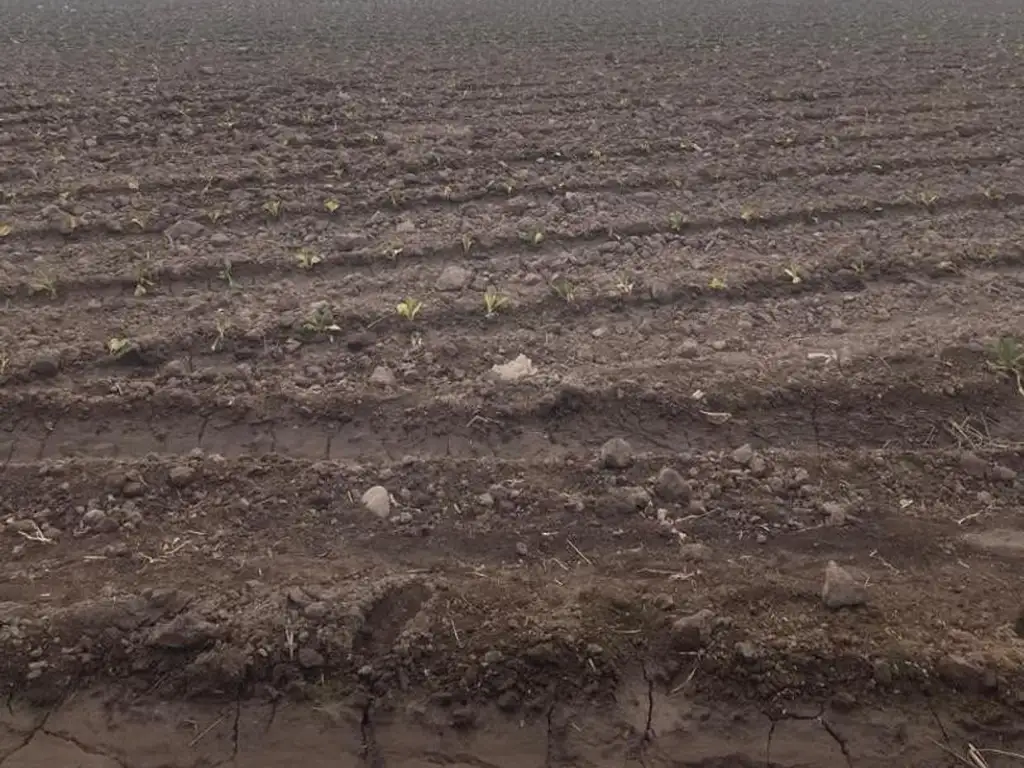 Campo 80ha sobre ruta nacional 34