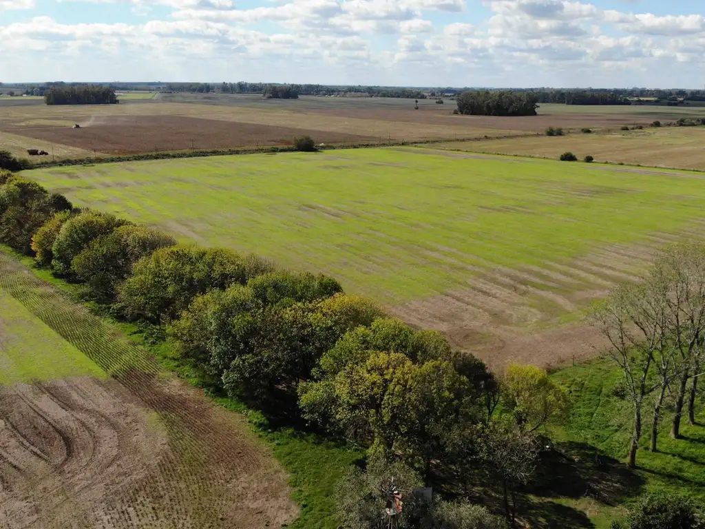 Venta Campo 83,3 hectáreas agrícolas en Lima