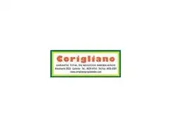Corigliano