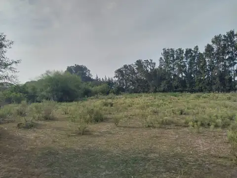 Campo en Venta