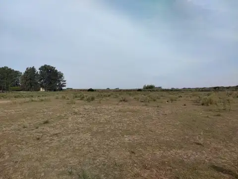 Campo en Venta en Baradero