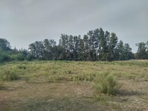 Campo en Venta - USD 170.000