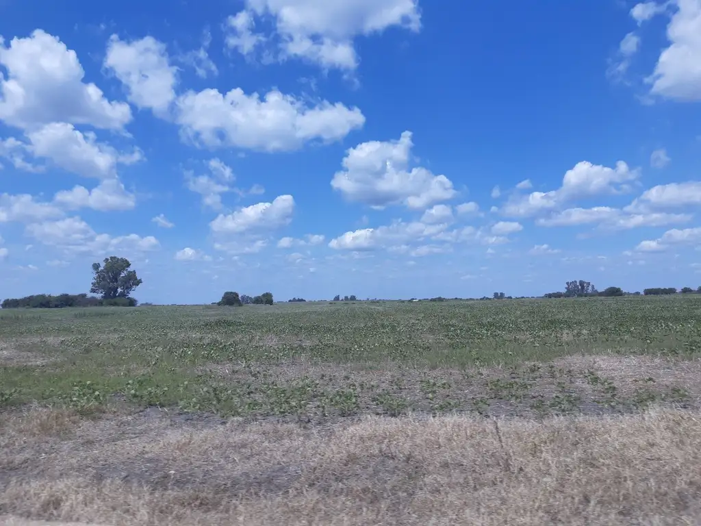 Chacra en venta sobre ruta sin mejoras