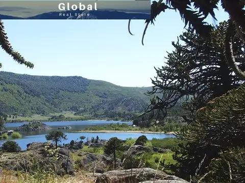 Excelente Campo De 1.400 Has En Aluminé, Neuquén Patagonia Argentina