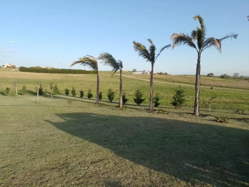 venta terreno los algarrobos victoria entre rios