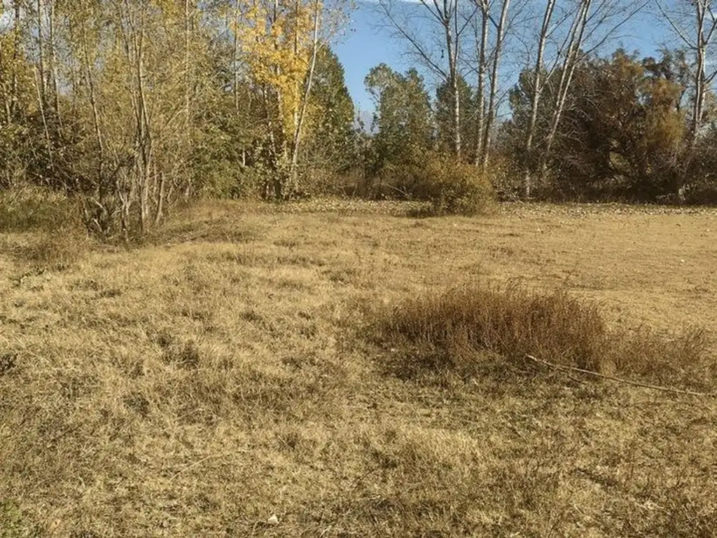 GRAN TERRENO EN COLONIA LAS ROSAS - TUNUYÁN