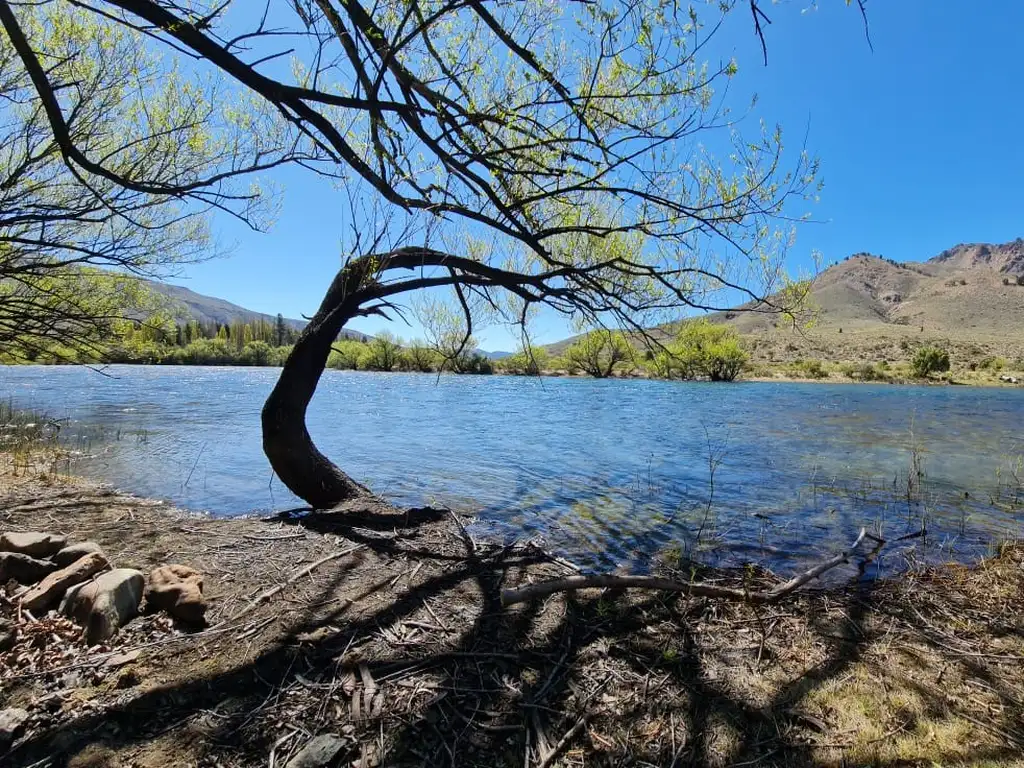 Fracción con costa Río Limay, Río Negro - Foto 0