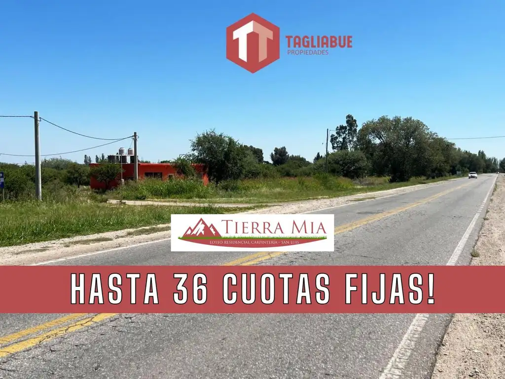 TIERRA MIA - Lote 85