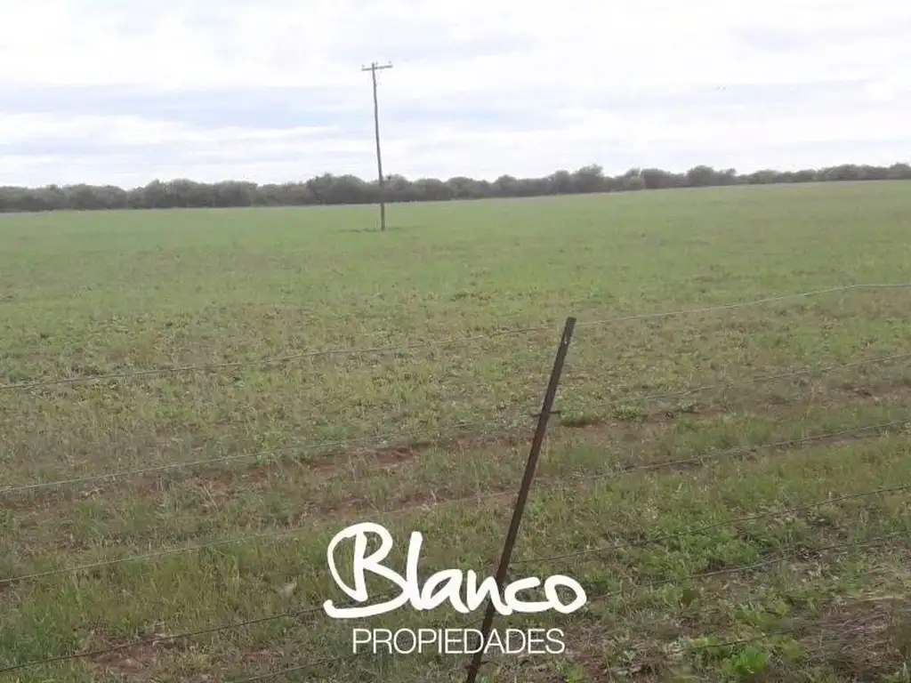 Campo  en Venta en Nueva Galia, Gobernador Dupuy, San Luis