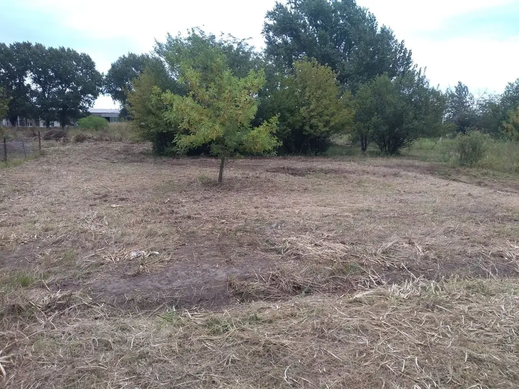 LOTES EN VENTA CARCARAÑA RUTA 9 Y AV. ANTARTIDA AR