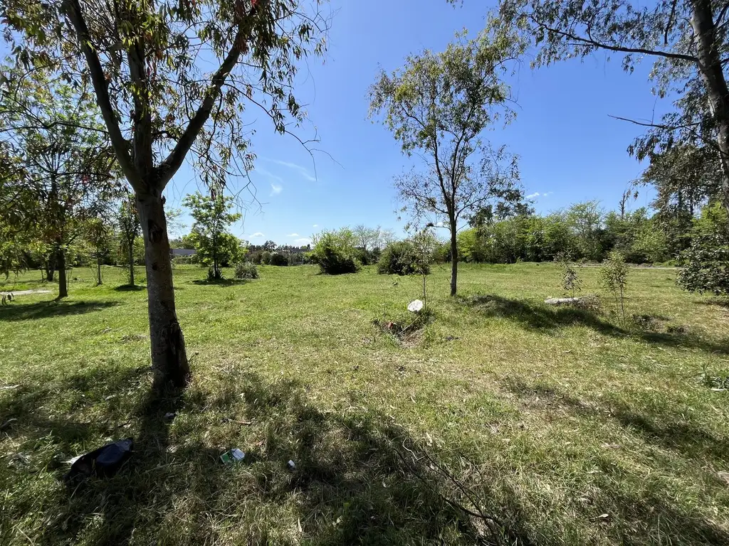 Lote para desarrollo  Terreno en Venta en Benavidez - a 100mts de la Bota