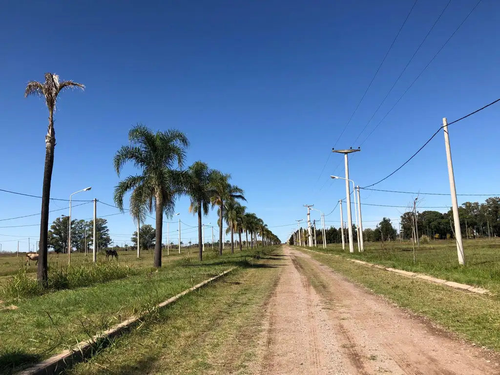 TERRENO EN TIERRA DE SUEÑOS CASILDA