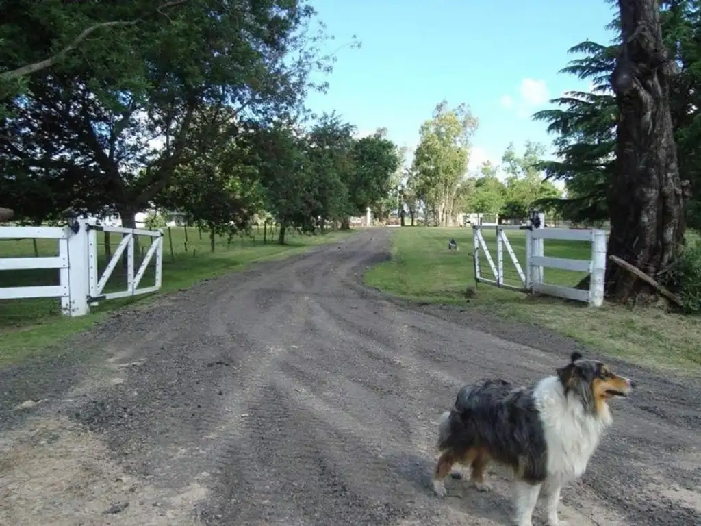 Estancia Con 20 Hectáreas De Campo Agricola / Ganadero