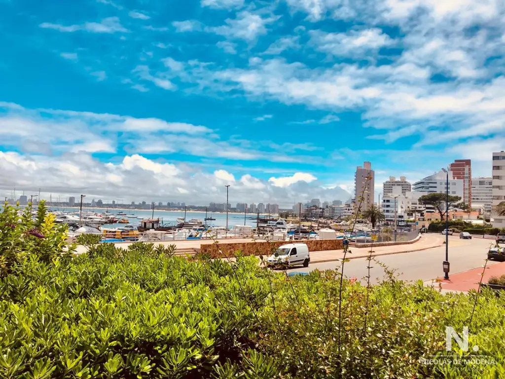 Vende apartamentode 3 dormitorios , frente al puerto de Punta del Este