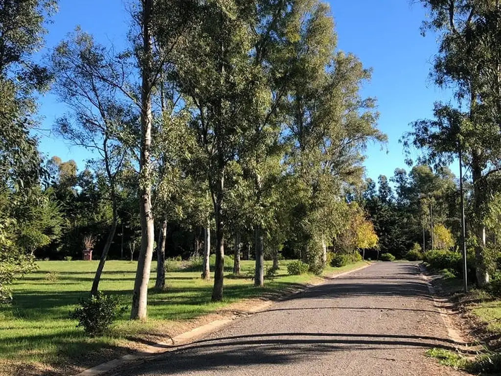 Lote | Ruta Nacional Nº 8