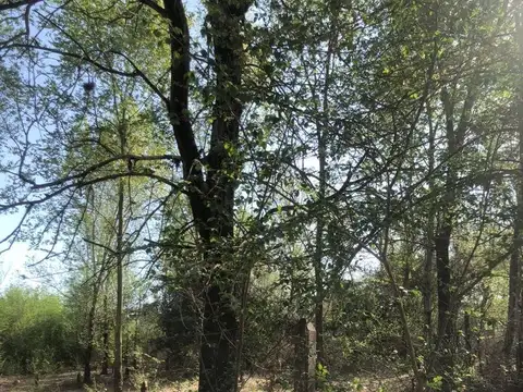 VENTA DE TERRENO EN POTRERO DE GARAY