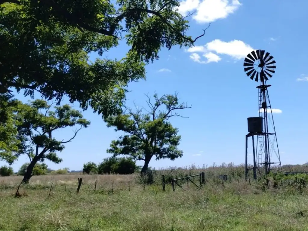 Campo - Venta - Argentina, La Plata