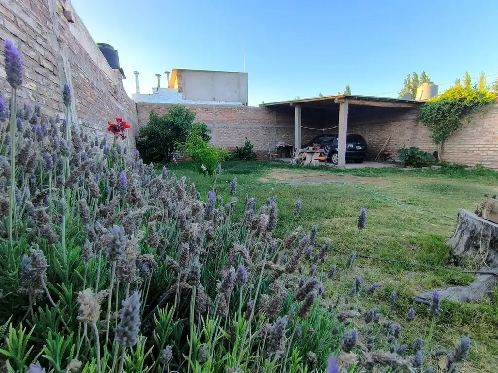 Casa Severo del Castillo, Corralitos, Gllén, Mza.