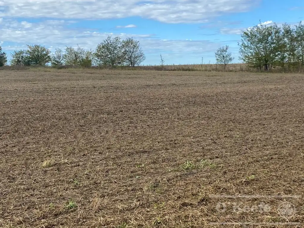 Campo en venta en Baradero de 150 Has. 95% Agricolas