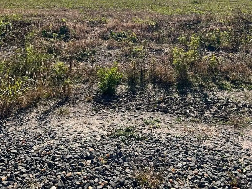 TERRENO EN COLONIA ENSAYO PARA CONSTRUIR, LOTEO LAS PALMAS