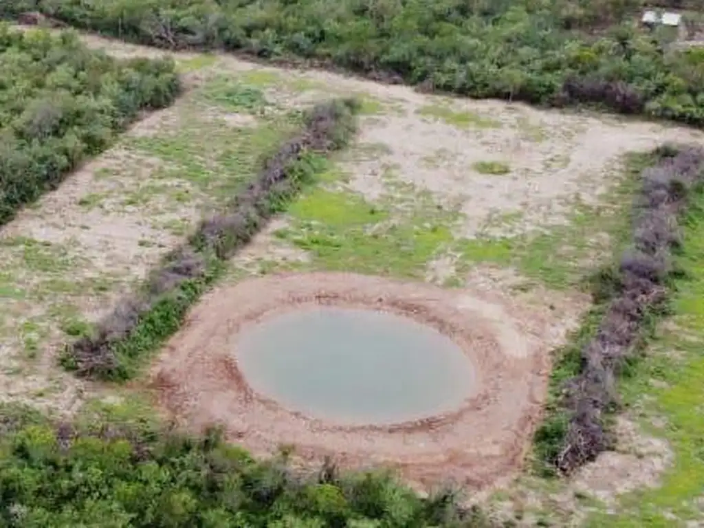 Campo en  6000 HAS NUEVA ESPERANZA DEPARTAMENTO PELLEFRINI SANTIAGO DEL ESTERO