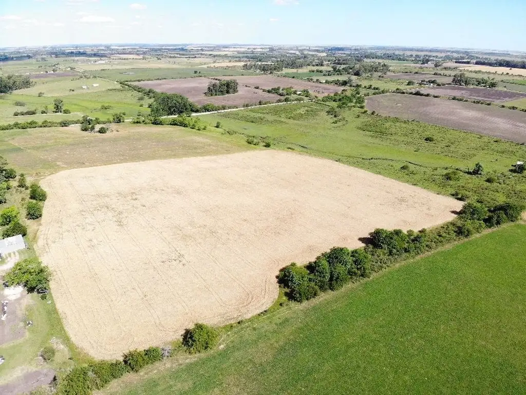 Venta de Chacra 5 hectáreas en Cangue