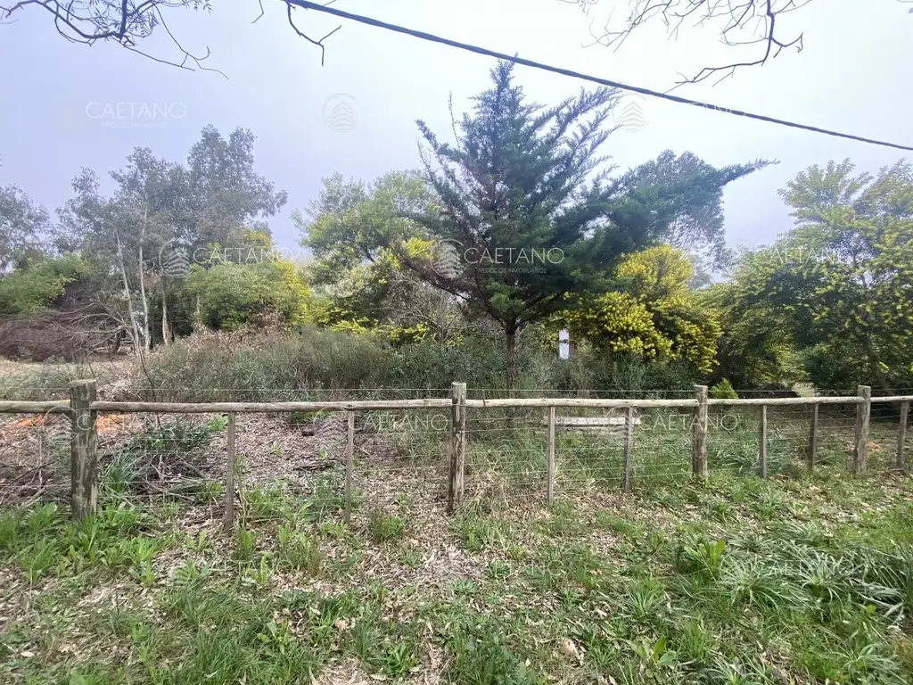 Terreno en venta El Tesoro