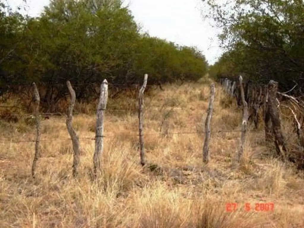 Un campo para no perder 635 hectareas con acuifero. OPORTUNIDAD