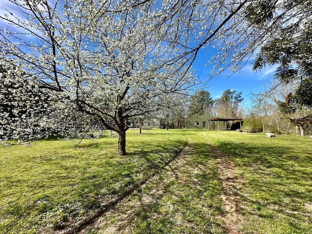 Casaquinta en alquiler en Loma Verde