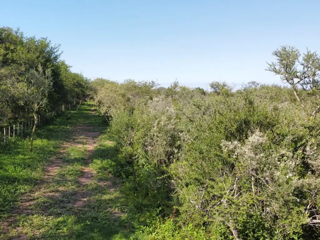 LOTES EN VENTA EN LA POBLACIÓN TRASLASIERRA