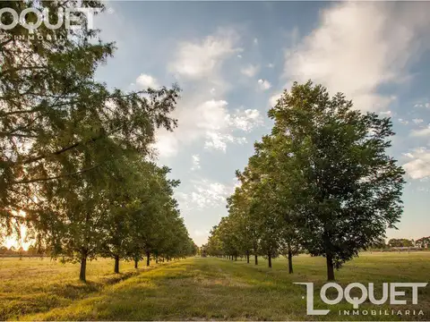 Lotes en Estancia San José