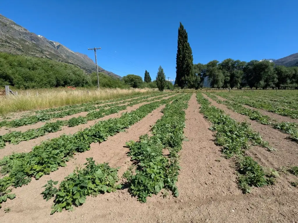 Oportunidad Lote en la Localidad de El Hoyo