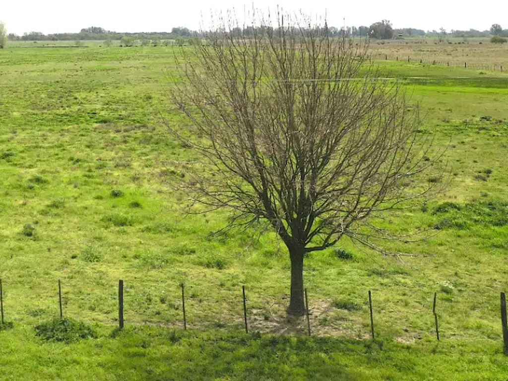 Campo en venta en San Andres de Giles