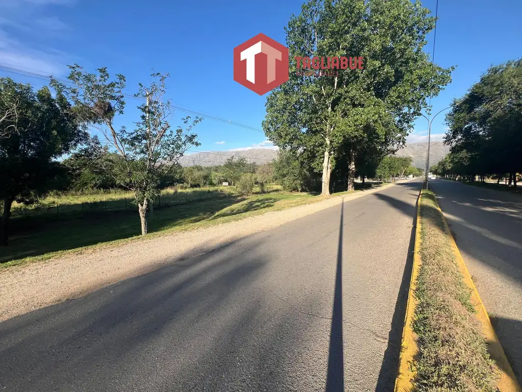 Terreno Comercial Sobre Ruta Provincial 5