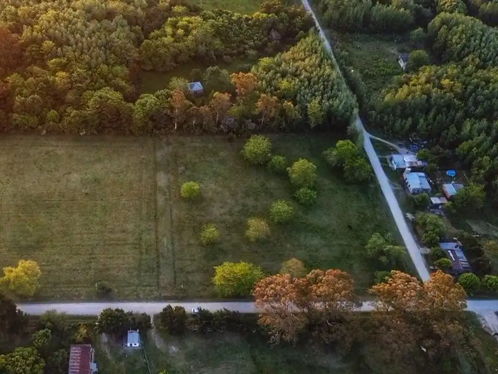 Terreno en  Magdalena