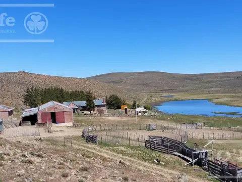 Campo en venta de 4394 has Comallo, Rio Negro