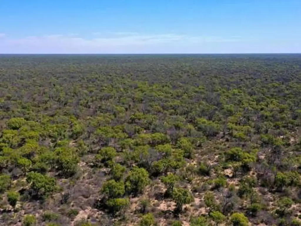 CAMPO PUNTA CORRAL - SANTIAGO DEL ESTERO