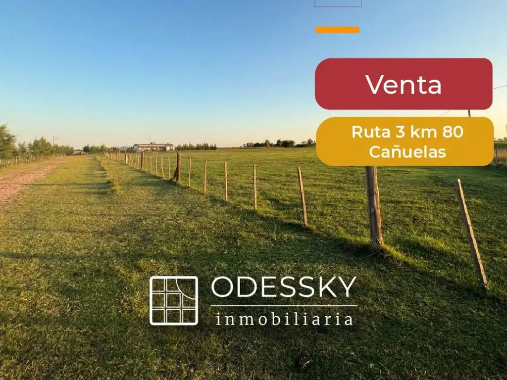 CAÑUELAS -CAMPO DE 11 HA EN VENTA