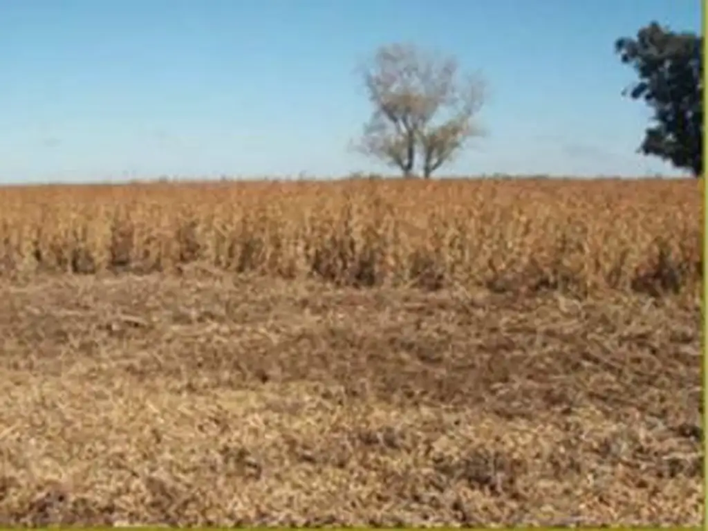 Campo en venta en San Cayetano, Provincia de Buenos Aires